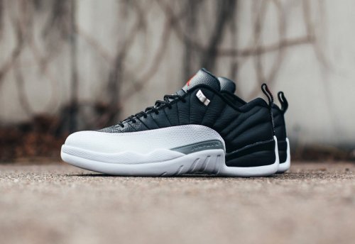 air jordan 12 femme