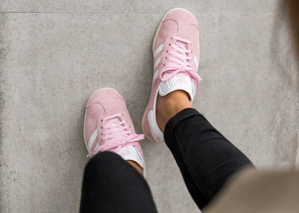 gazelle rose et grise