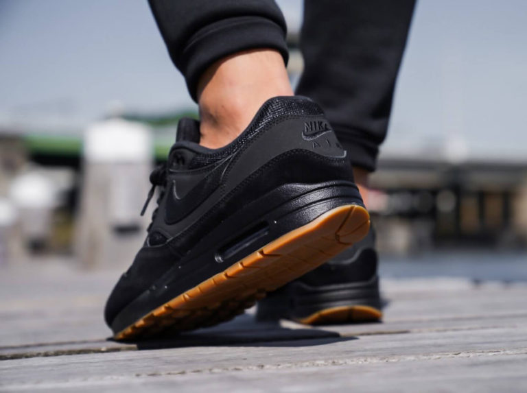 semelle interieure nike air max