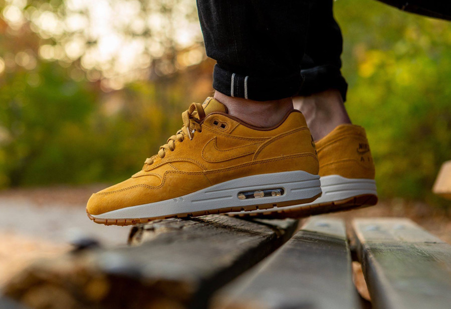 niketalk air max 1