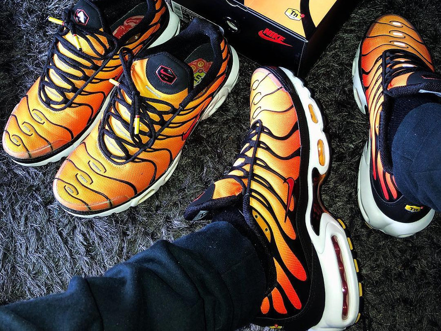 air max plus habanero