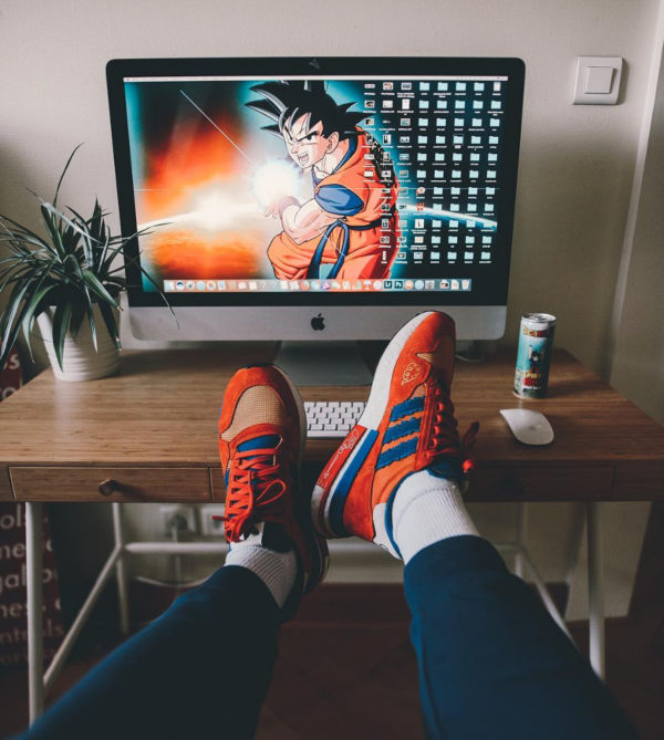 Adidas ZX 500 RM Goku - @makephoto