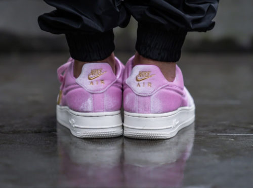 air force rose poudré