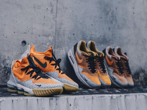 lebron low 16 safari