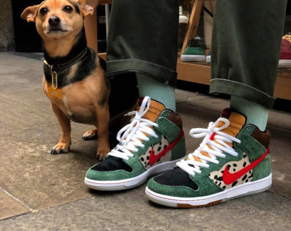 dunk sb dog walker