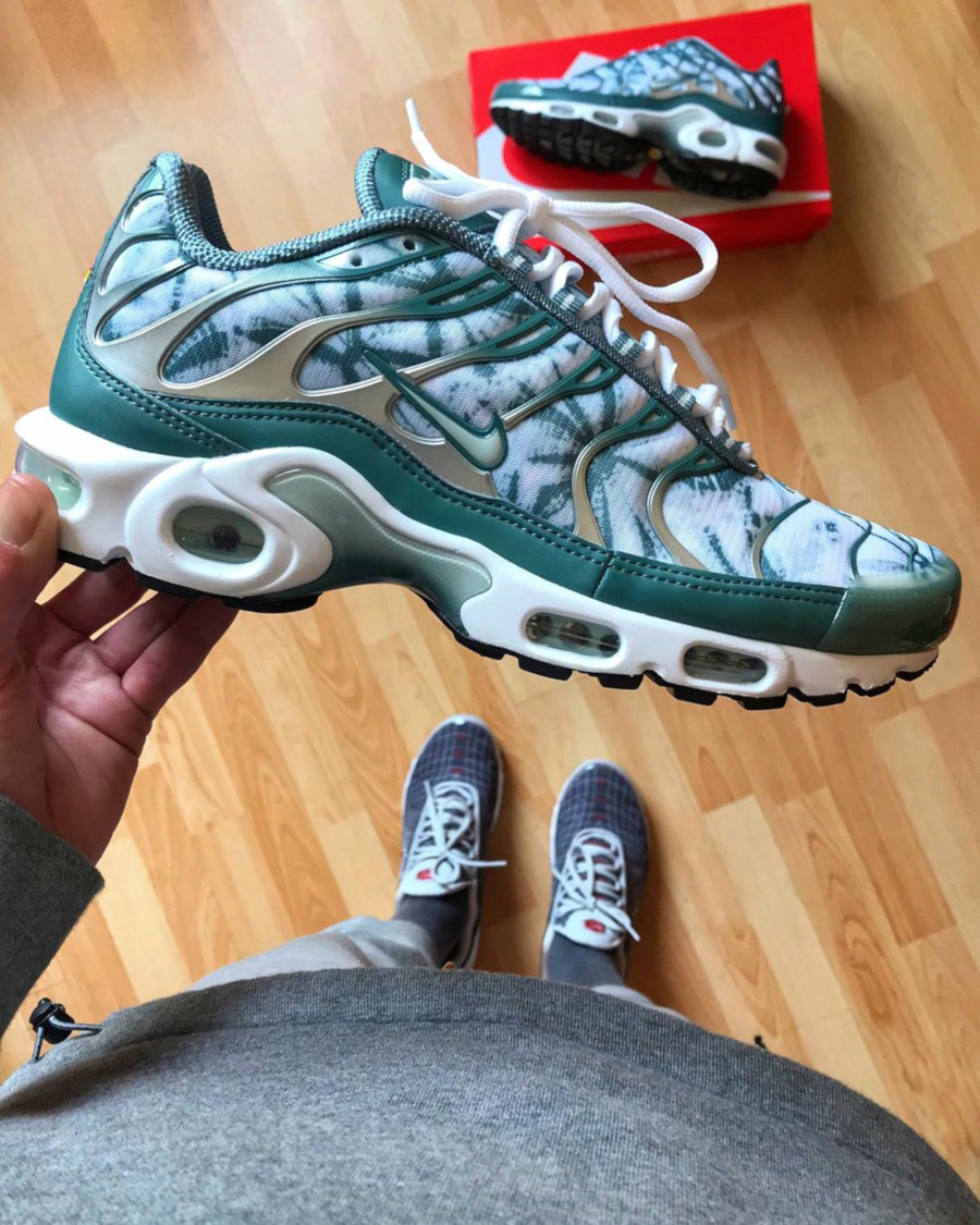 nike air max plus palm pack