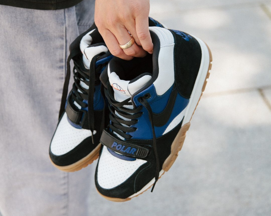 polar skate co x nike sb air trainer 1