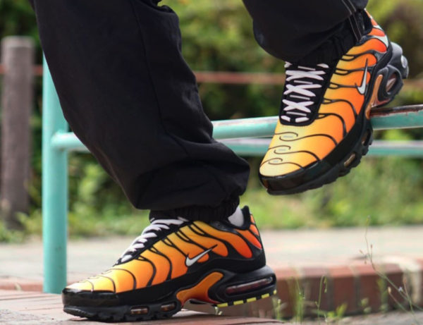 nike air max plus tn tiger