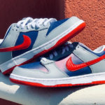 Nike Dunk Low Samba 2020