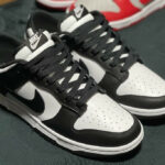 Nike Dunk Low Retro Panda White Black 2021 DD1391-100