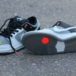 Nike SB Dunk Low Pro ISO VX1000 Camcorder CV1659-001