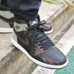 Air Jordan 1 Retro High OG Rust Shadow Patina 555088 033