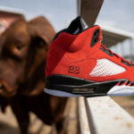 Air Jordan 5 Retro Raging Bulls Toro Bravo 2021 DD0587-600