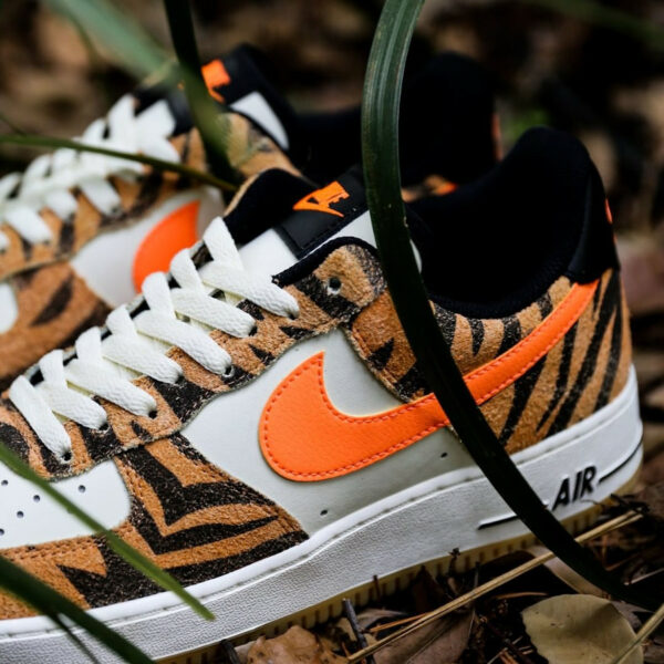 daktari af1