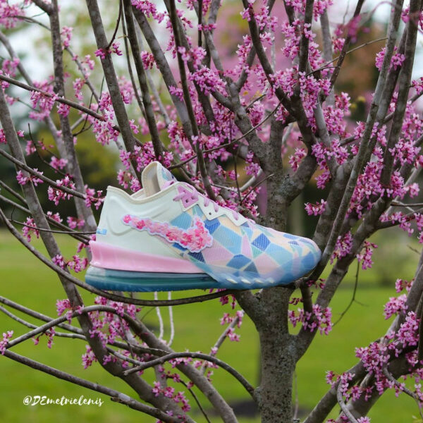 atmos x lebron 18 low cherry blossom
