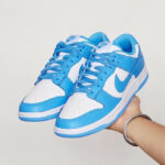 Nike Dunk Low Retro UNC University Blue DD1391-102