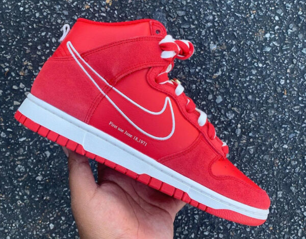 Nike Dunk Hi FU rouge (1)