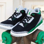 Air Jordan 3 AJ3 Retro Pine Green Elephant Print (couv)