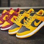 Nike Dunk Low Retro Goldenrod Iowa Hawkeyes 2021 DD1391 004