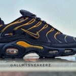 Nike Air Max Plus TN1 Cordura Black Gold DO6700-001