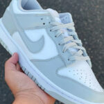 Nike Dunk Low Retro 2021 Fog Grey Gris Brouillard DD1391 (couv)