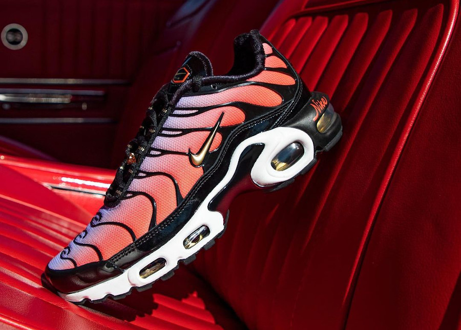 Nike Wmns Air Max Plus Sisterhood