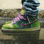 Nike Dunk SB Skunk - @airjordank (couv)