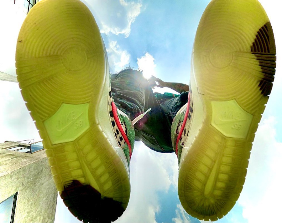 Nike SB Dunk High Pro Dog Walker - @juanjolegaria