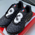 Nike Air Max Plus Saint Denis '93' (DV3194-001)