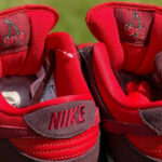 Nike Dunk Low SB cerise rouge et bordeaux (4)