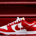 Nike Dunk Low Retro blanche et rouge 2022 1 150x150