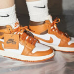 Air Jordan 1 Hi orange birkin (6)