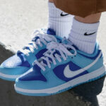 Nike Dunk Low blanche bleu ciel bleu marine (4)