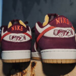 Nike Dunk Low Pro SB SLAG (3)