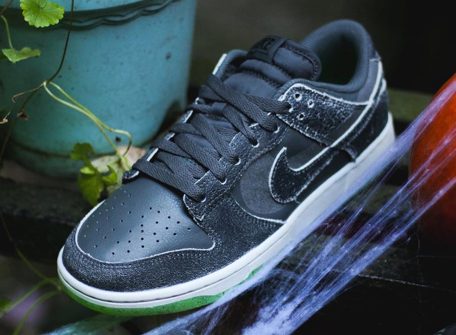 Nike Dunk Low Swoosh Shadow grise (1)