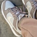 Nike Dunk Low beige et marron clair 2022 (couv)