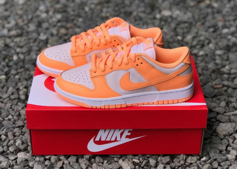 Nike Dunk Low Peach Cream Pastel Crème de pêche DD1503