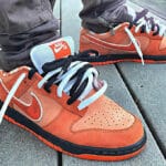 Nike Dunk Low SB crustacé 2022 on feet