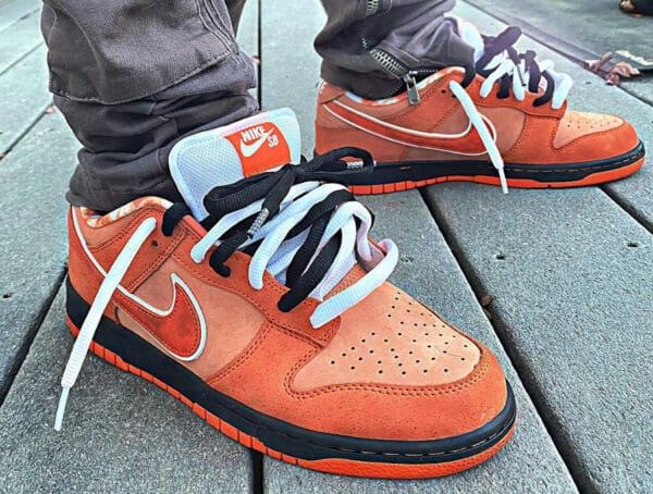 Nike Dunk Low SB crustacé 2022 on feet