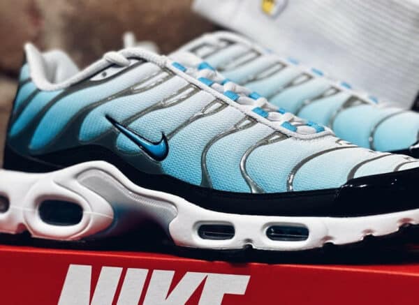 tn requin blanche et bleu