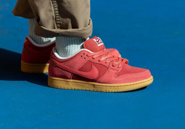 Nike Dunk Low 2023 rouge terre (5)