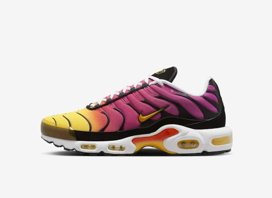 Nike Air Max Plus Rainbow 2023