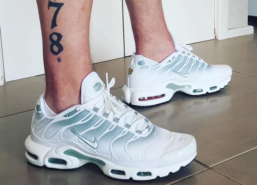 Nike Air Max Plus TN1 Mica Green d grad vert p le DZ3670 100