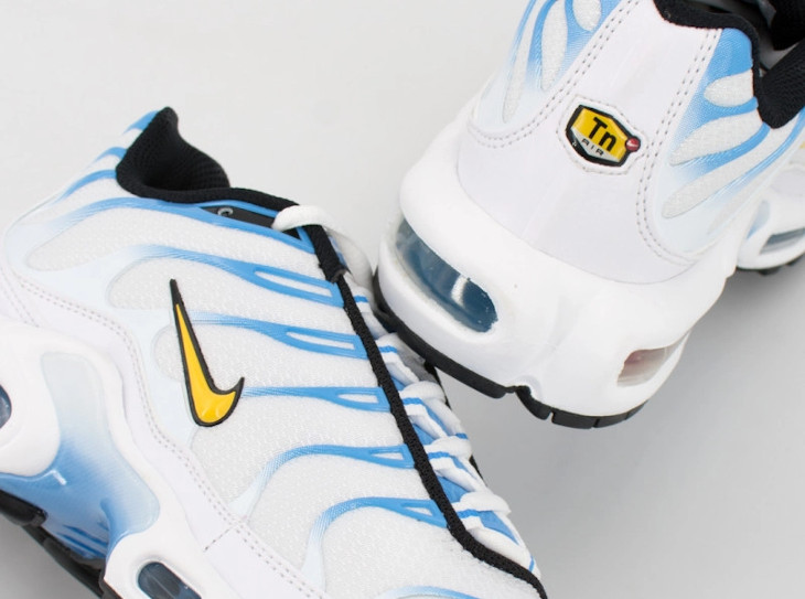 Nike Air Max Plus TN1 White University Blue Gold UCLA DM0032-101 (couv)