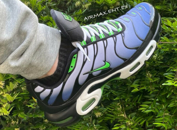 Nike Air Max Plus Icons on feet