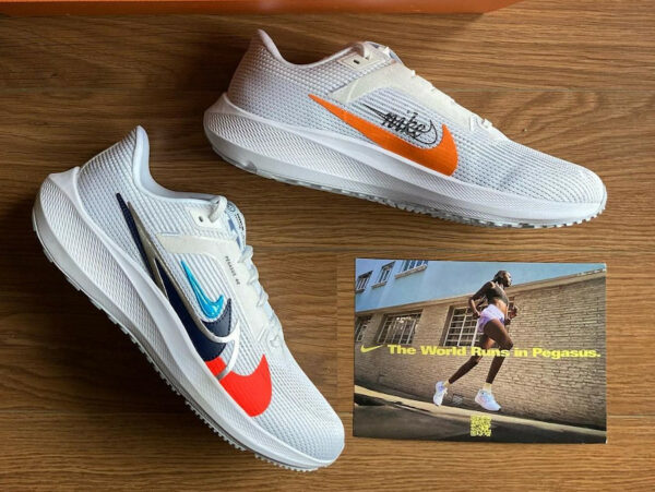 Nike Pegasus 40 Multi Swoosh (40th anniversary) notre avis FB7179-100