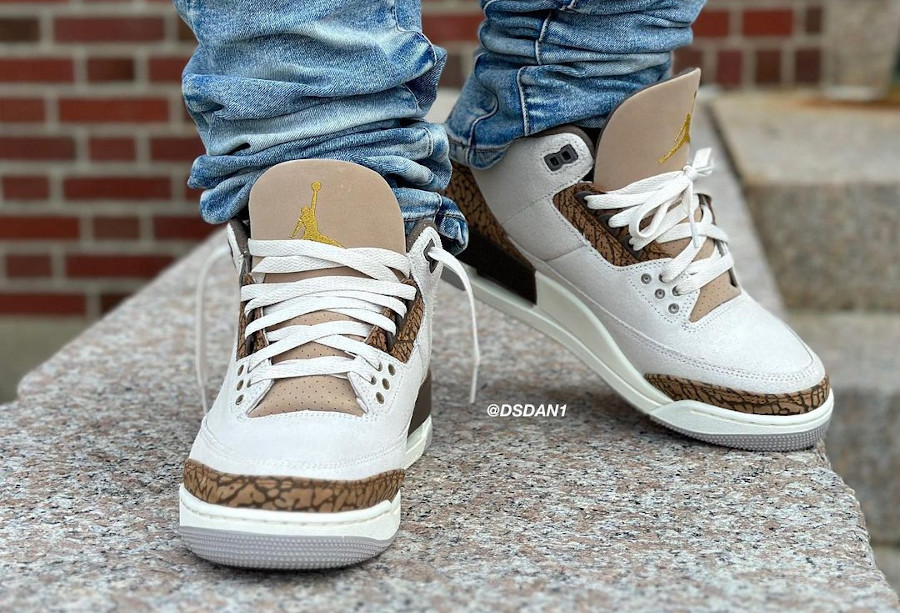 Air Jordan 3 Retro Orewood Brown