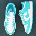 Nike Dunk Low BTTYS Clear Jade DV0833-101