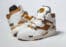 Reebok Pump Omni Zone 2 Radiant Ochre Chalk 100033886