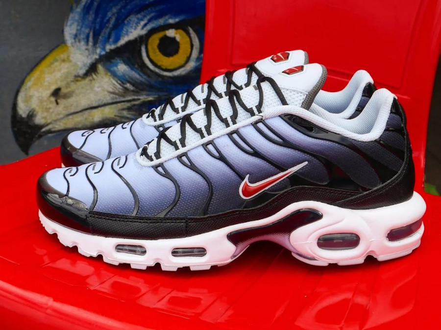 Nike Air Max Plus Swoosh! Pack pas cher